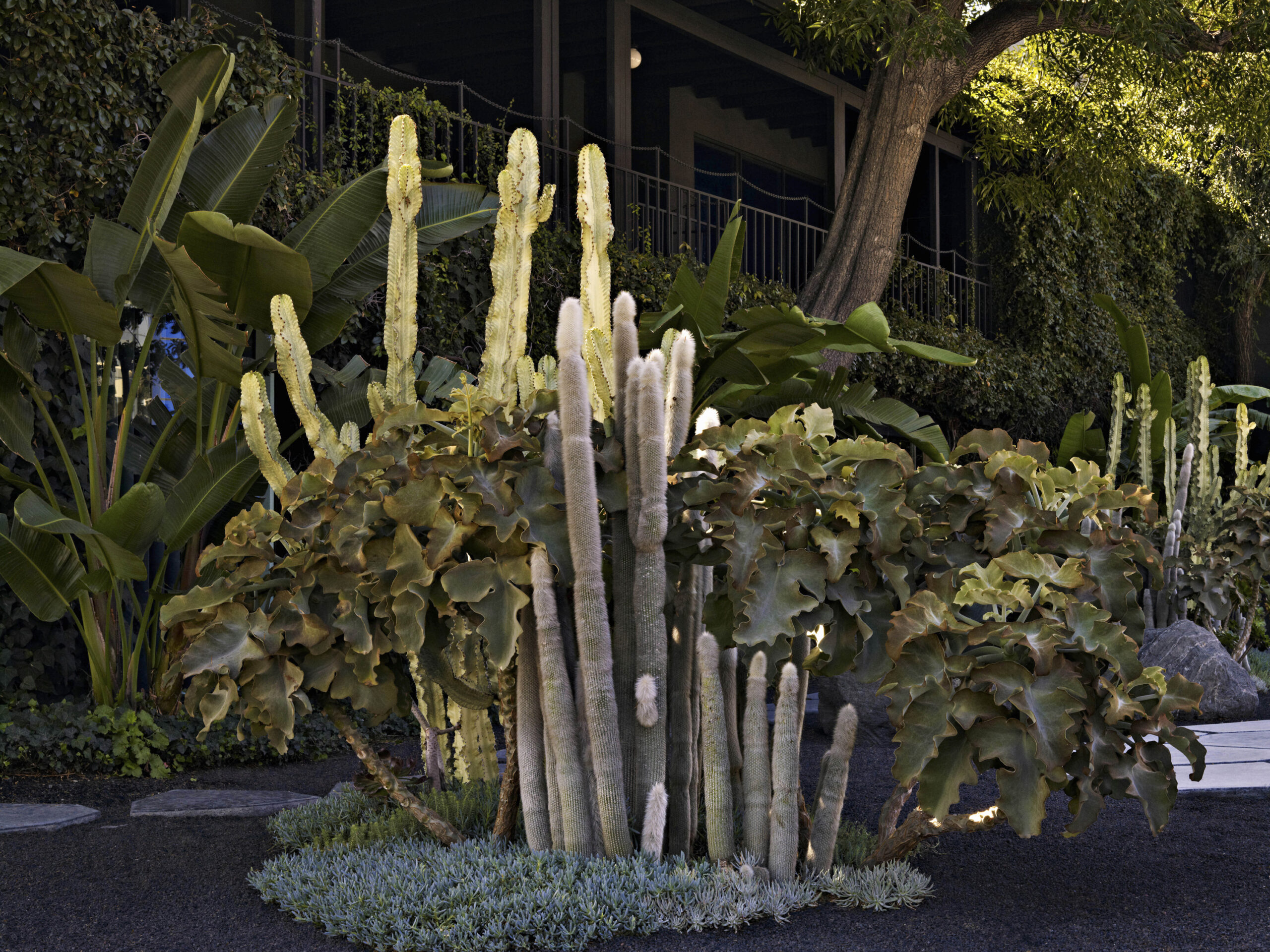 SELECTED FASHION HOUSES