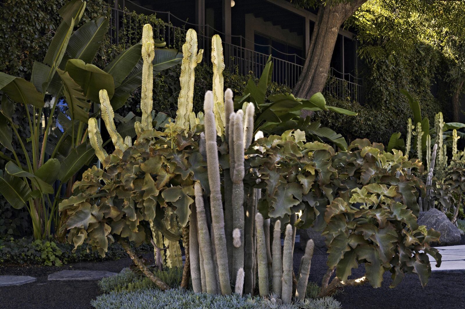 SELECTED FASHION HOUSES