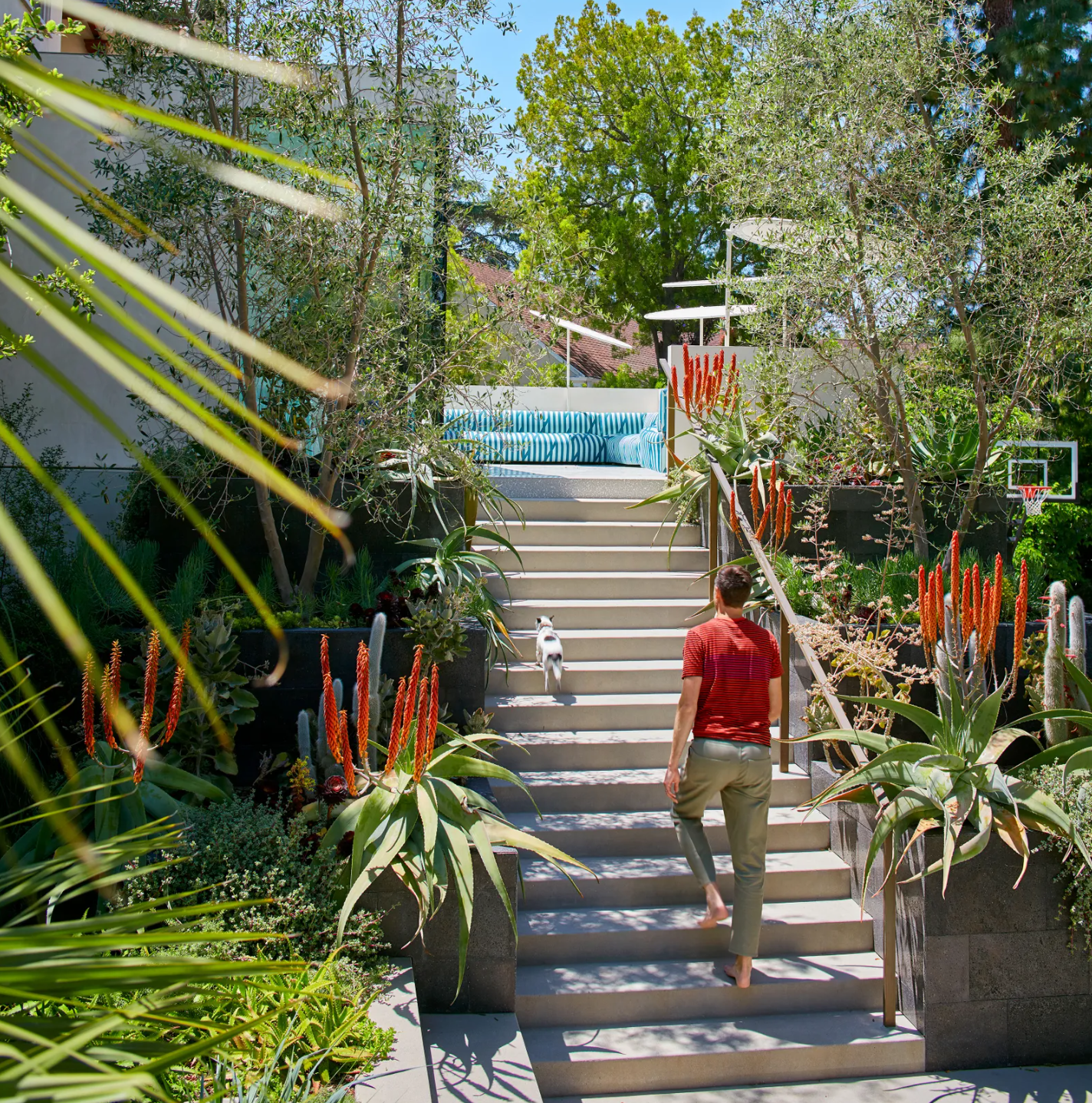 Inside Architect Chet Callahan's Spirited Revamp of his Historic Los Angeles home